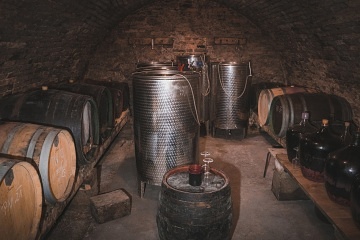 Chalupa a vinn� sklep Hustope�sko - Nov� Ml�ny