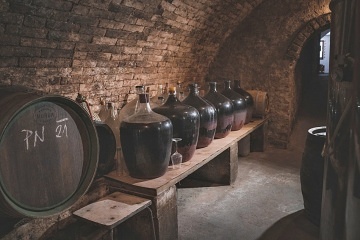 Chalupa a vinn� sklep Hustope�sko - Nov� Ml�ny