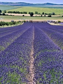 Chalupa Na Vinask Stezce - Plava - jin Morava