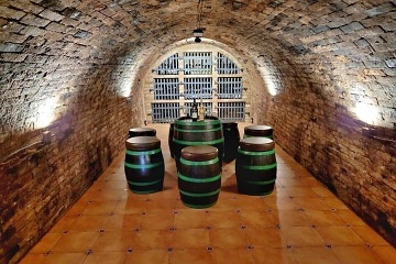 Chalupa a vinn sklep Plava - Levandulov farma