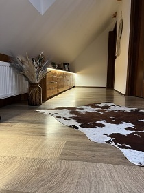 Wellness chalupa s baz�nem - hrad Per�tejn