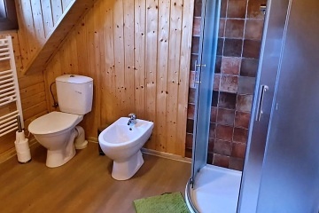 Roubenka s wellness - Olenice - Orlick hory
