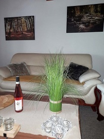 Chata s bazénem a saunou - Klínovec - Okounov