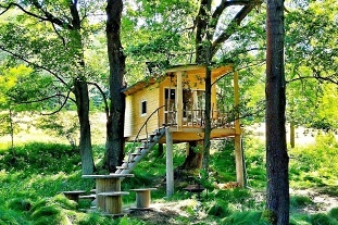 Nový objekt: Glamping a koupací sud na samotě - Treehouse 10C-141