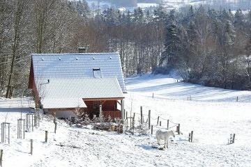Chata na samot� - kon� a koupac� sud - Strakonicko