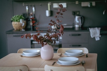 Chata se saunou - Povltav� - p�ehrada Slapy