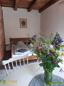 Chalupa s baz�nem - �esk� r�j - Turnovsko