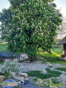 Chalupa s baz�nem - �esk� r�j - Turnovsko