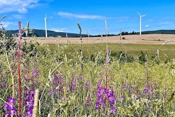 Chata a sauna - Kl�novec - Bo��darsk� ra�elini�t�