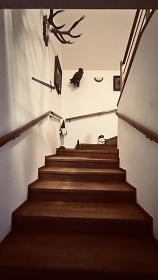 Chata a sauna - Kl�novec - Bo��darsk� ra�elini�t�