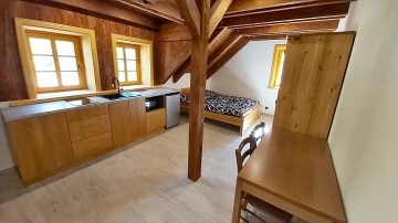 Chalupa s wellness - Luisino �dol� - Krkono�e