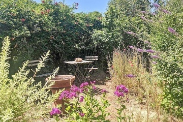 Chalupa �esk� les - vodn� hrad �vihov - �umava