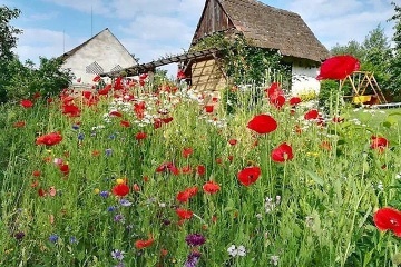 Chalupa �esk� les - vodn� hrad �vihov - �umava