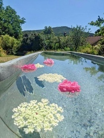 Chalupa �esk� les - vodn� hrad �vihov - �umava