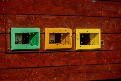 Glamping na louce Krušné hory - Prunéřovské údolí