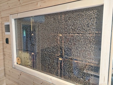Glamping na louce Krušné hory - Prunéřovské údolí