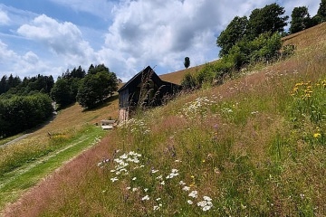 Designov� horsk� chata - Lys� hora - Krkono�e