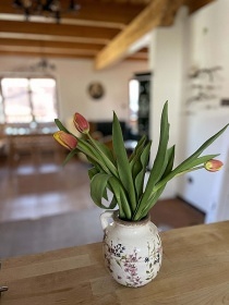 Chalupa Šumava - Velhartický hrad - Velhartice