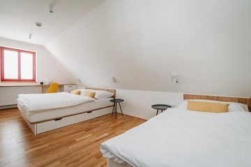 Kru�nohorsk� designov� chalupa - Kl�novec