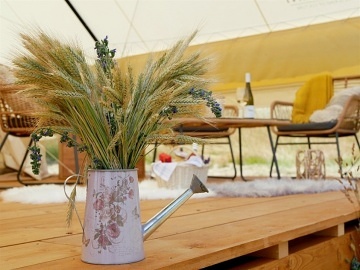 Glamping u vinné révy - stan Dubňany - Kyjov
