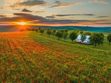 Glamping stan Cyklostezka Mezi vinohrady - Dub�any