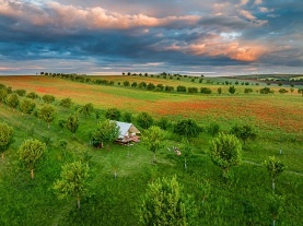 Glamping stan Cyklostezka Mezi vinohrady - Dub�any