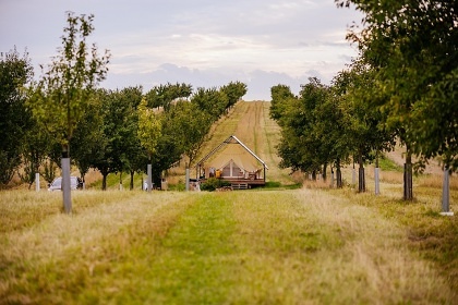 Glamping stan Cyklostezka Mezi vinohrady - Dub�any