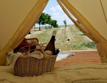 Glamping stan Cyklostezka Mezi vinohrady - Dub�any