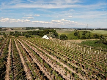 Stan Příroda mezi vinicemi - Čejkovice