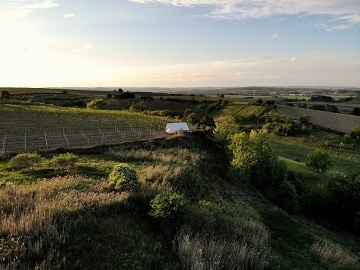 Glamping u vinice - stan Mutěnice - Dubňany
