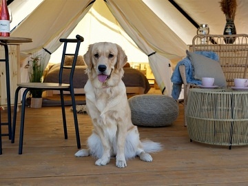Glamping u vinice - stan Mutěnice - Dubňany