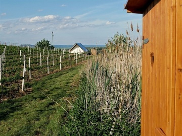 Glamping ji�n� Morava - stan Dub�any - Hodon�n