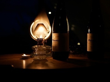 Stan Příroda mezi vinicemi - Čejkovice