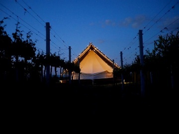 Glamping u vinice - stan Mutěnice - Dubňany