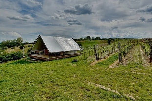Glamping u vinice - stan Mutnice - Dubany