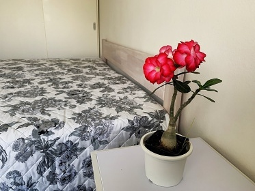 Apartmán Na Třešňovce - Rudolfov - České Bud.
