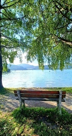 Tiny house - Lake Forest Dedinky - Slovenský ráj