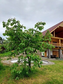 Srub u Volfa - Doubravice - Strakonice