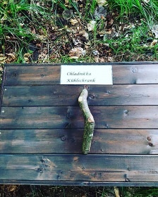 Treehouse Česká Kanada - Artolec - jižní Čechy