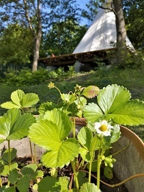Teepee V Zátiší - Glamping Ledečko - Sázava