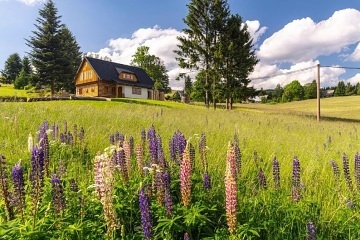 Roubenka Orlick hory - Anensk vrch - ky