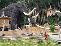 Roubenka s baz�nem - Doln� Morava - Sky Bridge