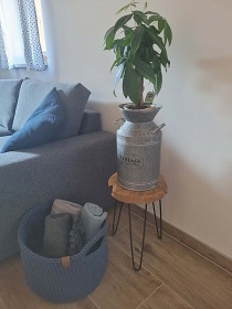 Chata pod pikem - Jelen kout - Jizersk hory