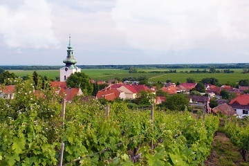 Chalupa s baznem - CHKO Plava - Nov Mlny