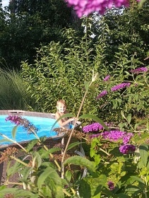 Chata Tebosko - Suchdolsk pskovny - Borovany