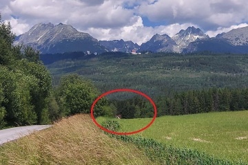 Chata pod zubačkou - Tatranská Štrba
