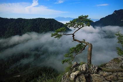 Chata Slovensk rj - Spisk Nov Ves