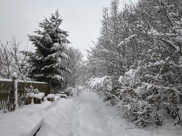 Chalupa s baz�nem - Vset�nsk� vrchy - Beskydy