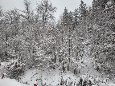 Chalupa s baz�nem - Vset�nsk� vrchy - Beskydy