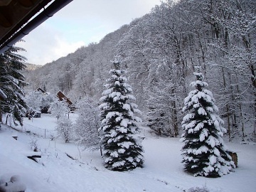 Roubenka Krkonoe - Rchorsk prales - acl